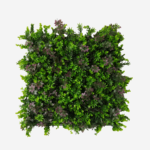 مووف مع اخضر