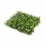 زهرة ياسمين برو